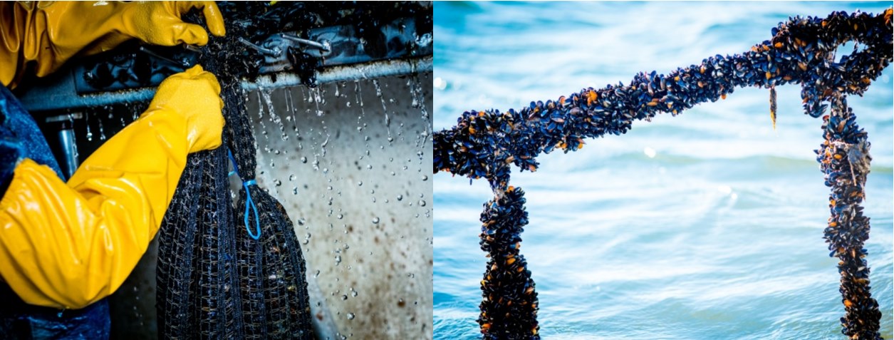 Public reporting transparency